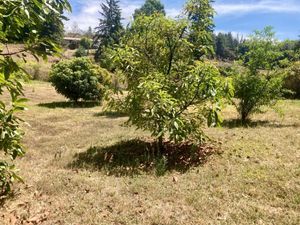 TERRENO EN VENTA, SAN JUAN ATEZCAPAN.