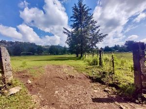 TERRENO EN VENTA, SANTO TOMÁS EL PEDREGAL..