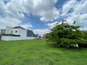 TERRENO EN VENTA PROVENZA