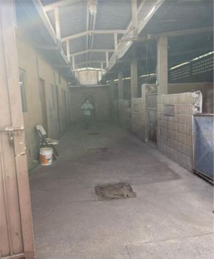 VENTA DE TERRENO/BODEGA EN SAN PEDRO