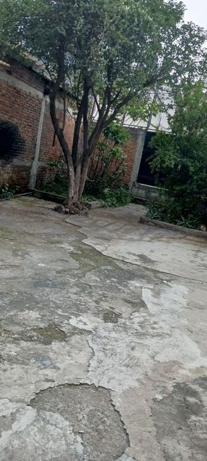 Terreno en renta en Coyoacán