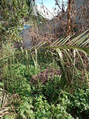 Terreno Venta San Pablo Xalpa en Tlanepantla