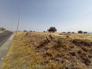 TERRENO EN VENTA HIDALGO