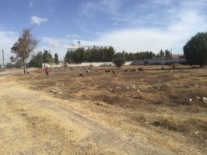 TERRENO  EN VENTA SANTIAGO ZACUALUCA TEOTIHUACAN EDOMEX