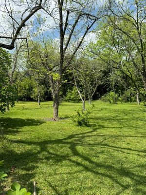 Venta Terreno Campestre en Los Cavazos Huajuquito Santiago, N. L. México