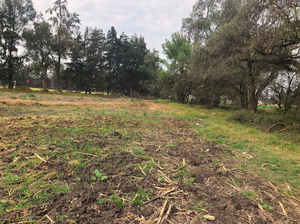 TERRENO EN VENTA EN SANTA BÁRBARA