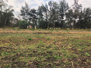 TERRENO EN VENTA EN SANTA BÁRBARA