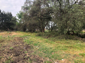 TERRENO EN VENTA EN SANTA BÁRBARA