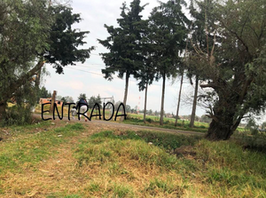 TERRENO EN VENTA EN SANTA BÁRBARA