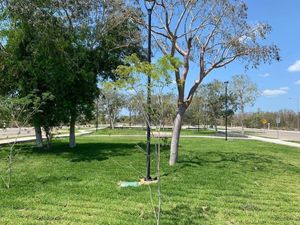 Terreno frente a parque  y piscina en Jardines de la rejoyada B145