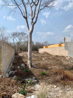 Terreno en privada residencial en Conkal