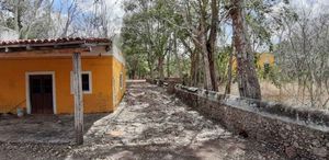 HACIENDA EN IZAMAL