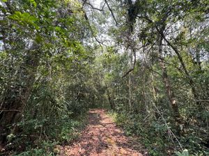 Terreno eco-residencial en la Ruta de los Cenotes en venta, Puerto Morelos