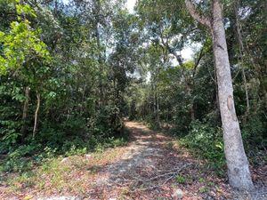 Terreno eco-residencial en la Ruta de los Cenotes en venta, Puerto Morelos