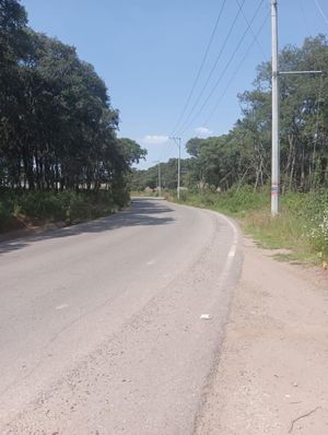 VENTA TERRENO EN ESPÍRITU SANTO, JILOTZINGO, A PIE DE CARRETERA