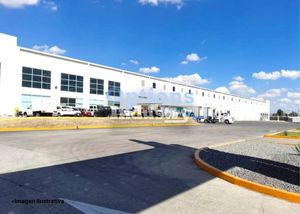 Rental of industrial lot in Querétaro