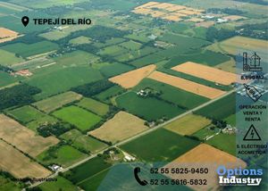 Sale and Rent in Tepejí del Río of industrial lots