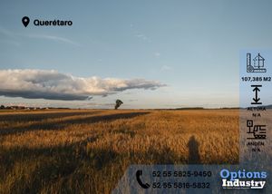 Rent in Querétaro industrial land