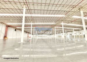 Industrial warehouse in Toluca for rent