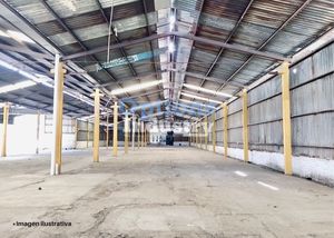 Tizayuca, industrial property rental