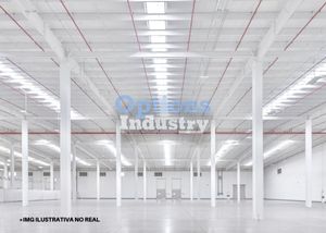 Large industrial warehouse for rent in Tamaulipas