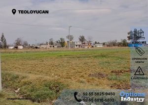 Amazing sale of land in Teoloyucan