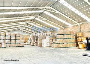 Immediate rent of industrial warehouse in Tizayuca