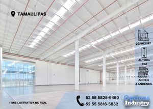 Tamaulipas, area to rent industrial property