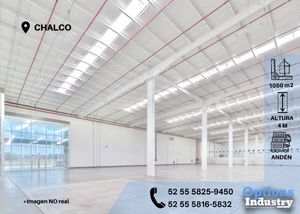 Warehouse rental opportunity in Chalco