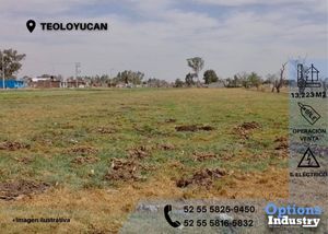 Buy land in Teoloyucan