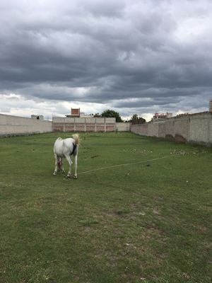 venta de terreno plano cerca del aereopuerto