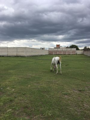 venta de terreno plano cerca del aereopuerto