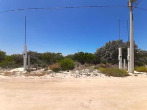 TERRENO EN CHICXULUB PUERTO A 500 MTS DEL MAR