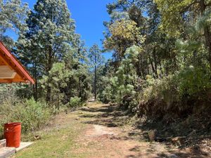 Terreno en Venta a 5 min de Mazamitla Centro, Jalisco!