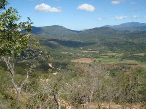 Rancho Las Guacamayas