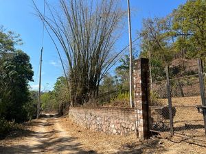 EL PUENTE, LAS JUNTAS Y LOS VERANOS