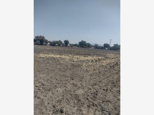 Terreno en Venta en Piru Santa Lucía Álvaro Obregón