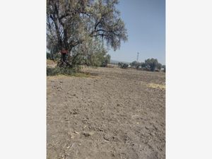 Terreno en Venta en Piru Santa Lucía Álvaro Obregón