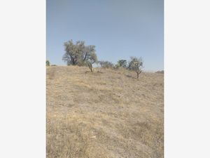 Terreno en Venta en Piru Santa Lucía Álvaro Obregón