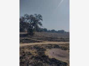 Terreno en Venta en Piru Santa Lucía Álvaro Obregón