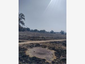 Terreno en Venta en Piru Santa Lucía Álvaro Obregón