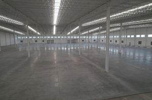 BODEGA EN RENTA  EN IRAPUATO DENTRO DE  PARQUE 9,750m2