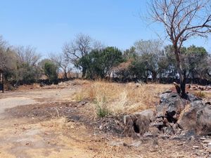 Terreno en Venta en Puente Grande Tonalá