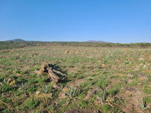 Terreno en Venta en Jiquilpan de Juarez Centro Jiquilpan