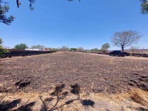 Terreno en Venta en Puente Grande Tonalá