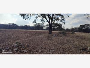 Terreno en Venta en Hacienda Blanca Amealco de Bonfil