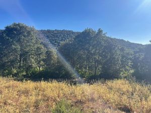 Terreno en Venta en Chitejé de la Cruz Amealco de Bonfil