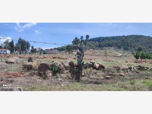 Terreno en Venta en Los Arenales (San Juan Dehedó) Amealco de Bonfil