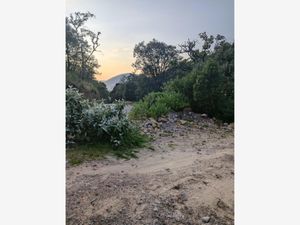 Terreno en Venta en Chitejé de la Cruz Amealco de Bonfil