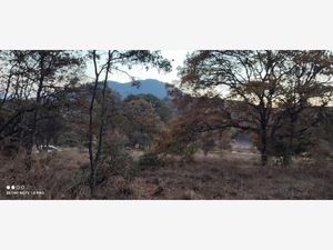 Terreno en Venta en Rincón de la Florida Amealco de Bonfil